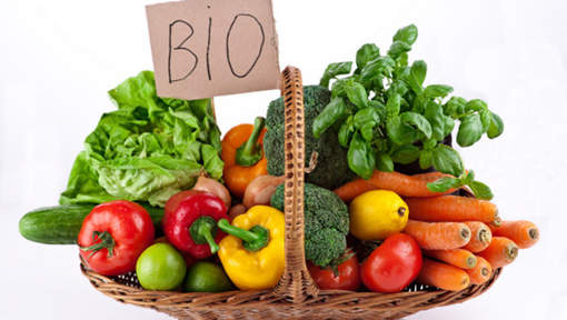 Pourquoi Manger Bio Interview Pourquoi Manger Bio Interview